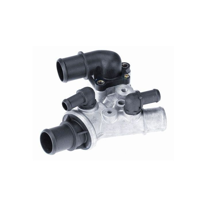 Termostatas, aušinimo skystis BorgWarner (Wahler) 3301.80D