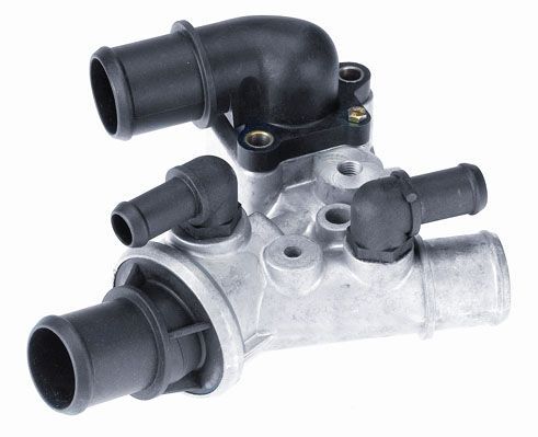 Termostatas, aušinimo skystis BorgWarner (Wahler) 3301.80D