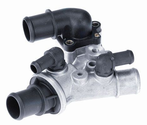 Termostatas, aušinimo skystis BorgWarner (Wahler) 3302.80D