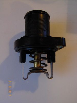 Termostatas, aušinimo skystis BorgWarner (Wahler) 3463.89D