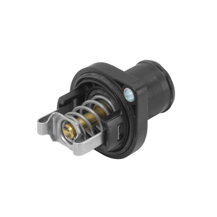 Termostatas, aušinimo skystis BorgWarner (Wahler) 3463.89D