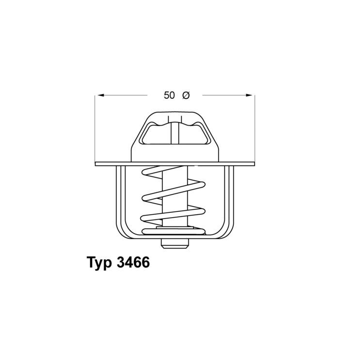 Termostatas, aušinimo skystis BorgWarner (Wahler) 3466.89D
