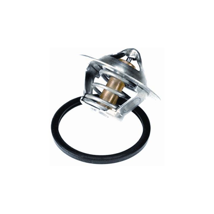 Termostatas, aušinimo skystis BorgWarner (Wahler) 3466.89D