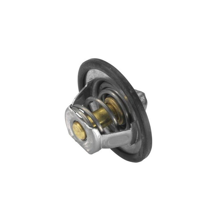 Termostatas, aušinimo skystis BorgWarner (Wahler) 3466.89D