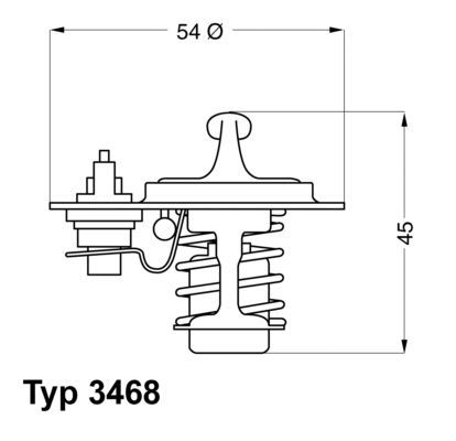 Termostatas, aušinimo skystis BorgWarner (Wahler) 3468.88D
