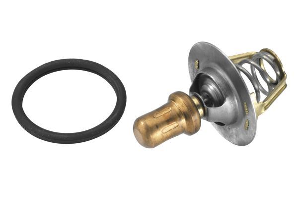 Termostatas, aušinimo skystis BorgWarner (Wahler) 3469.91D
