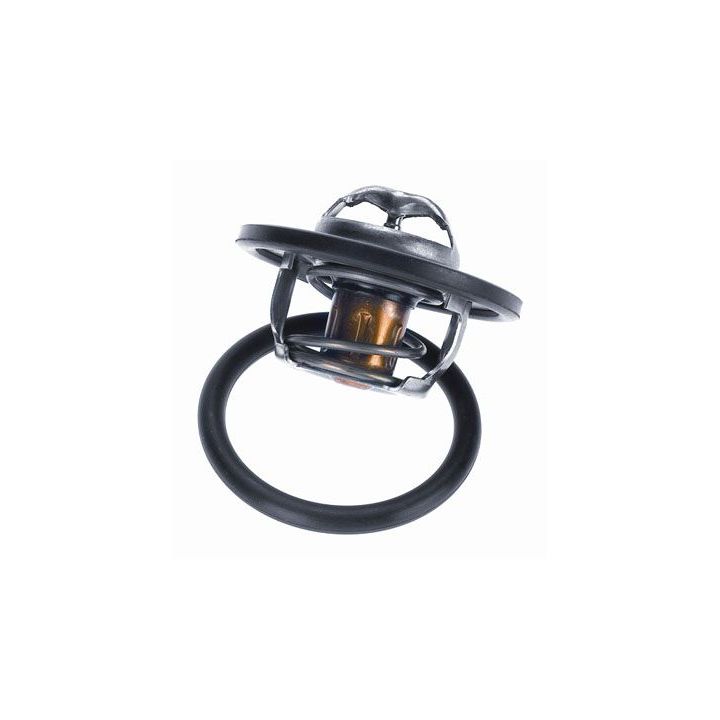 Termostatas, aušinimo skystis BorgWarner (Wahler) 3470.89D50