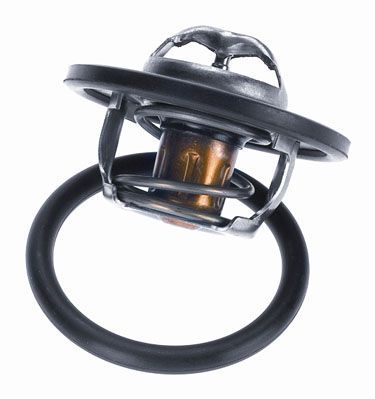 Termostatas, aušinimo skystis BorgWarner (Wahler) 3470.89D50