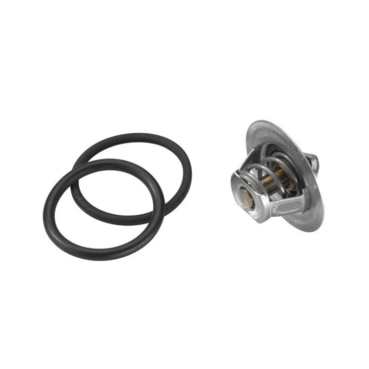 Termostatas, aušinimo skystis BorgWarner (Wahler) 3470.89D50