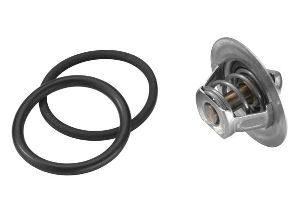 Termostatas, aušinimo skystis BorgWarner (Wahler) 3470.89D50