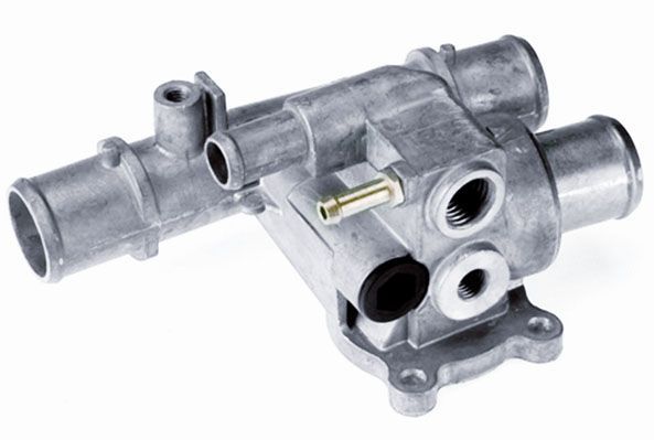 Termostatas, aušinimo skystis BorgWarner (Wahler) 3481.88D