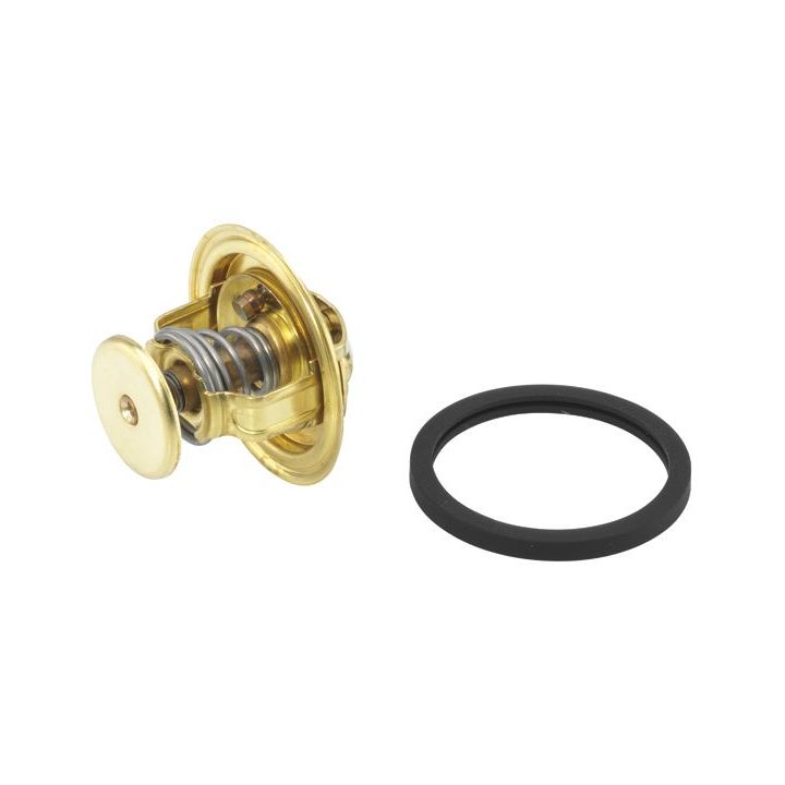 Termostatas, aušinimo skystis BorgWarner (Wahler) 4022.82D