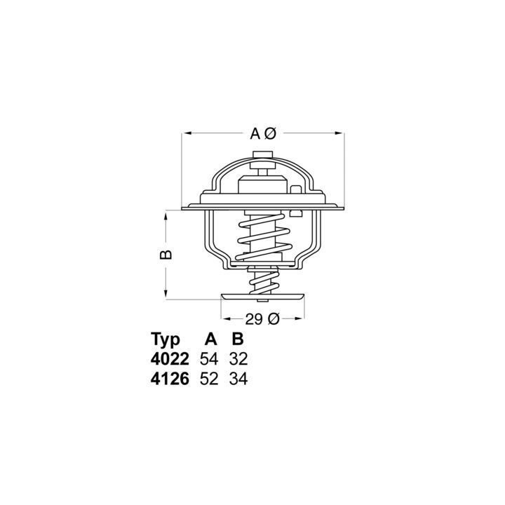 Termostatas, aušinimo skystis BorgWarner (Wahler) 4022.82D1