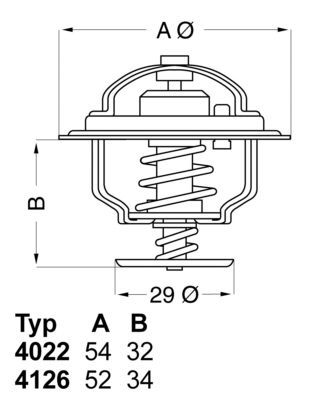 Termostatas, aušinimo skystis BorgWarner (Wahler) 4022.82D1