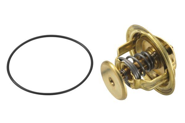 Termostatas, aušinimo skystis BorgWarner (Wahler) 4022.82D1