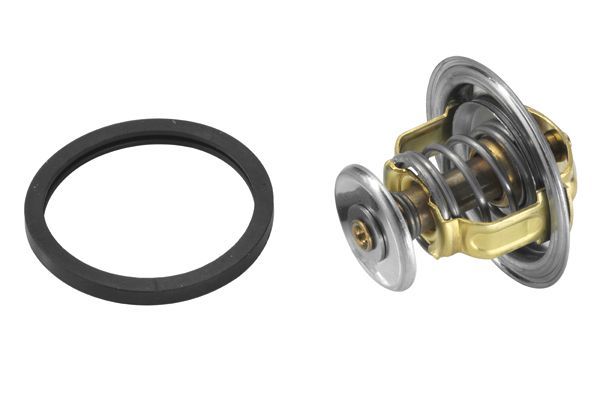 Termostatas, aušinimo skystis BorgWarner (Wahler) 4038.81D