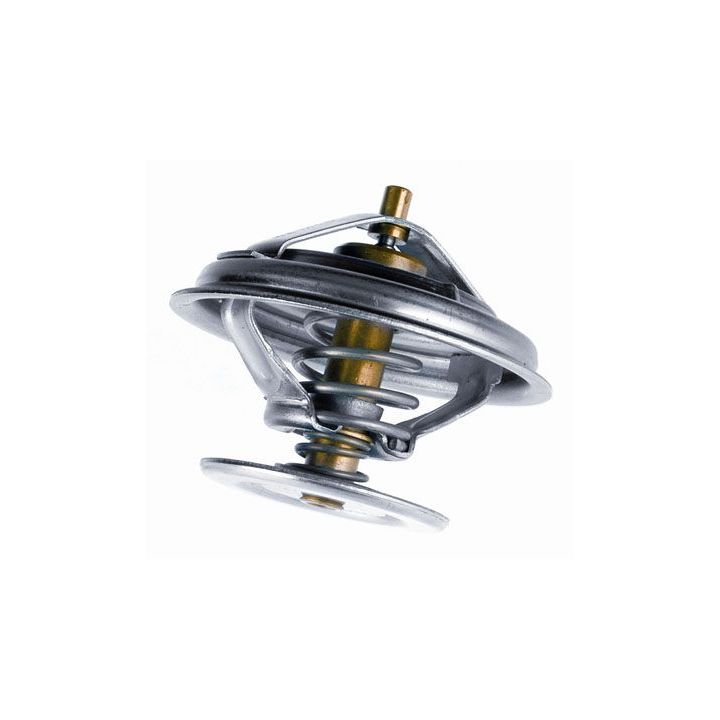 Termostatas, aušinimo skystis BorgWarner (Wahler) 4049.80D1