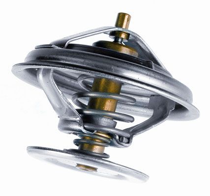 Termostatas, aušinimo skystis BorgWarner (Wahler) 4049.80D1