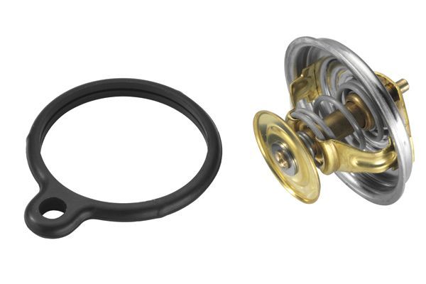 Termostatas, aušinimo skystis BorgWarner (Wahler) 4049.80D1