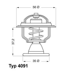 Termostatas, aušinimo skystis BorgWarner (Wahler) 4091.82D