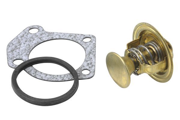 Termostatas, aušinimo skystis BorgWarner (Wahler) 4091.82D