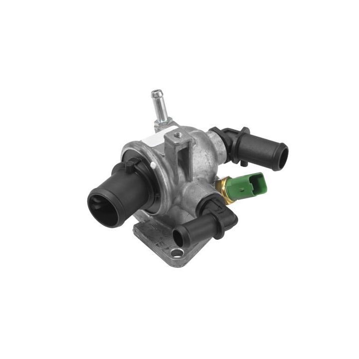 Termostatas, aušinimo skystis BorgWarner (Wahler) 410048.88D