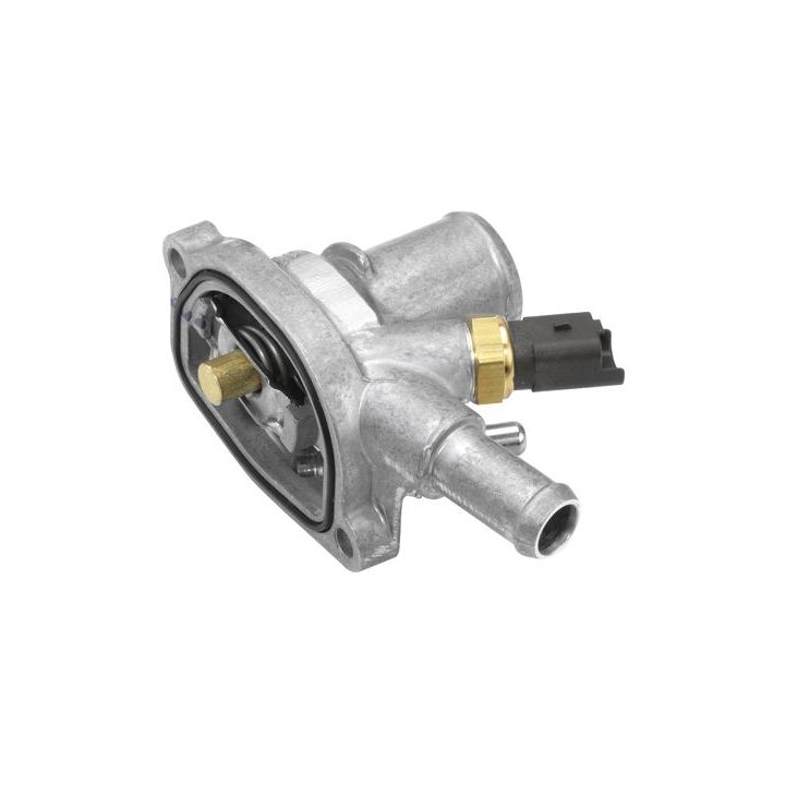 Termostatas, aušinimo skystis BorgWarner (Wahler) 410090.88D