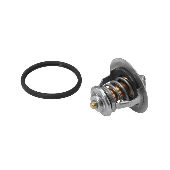 Termostatas, aušinimo skystis BorgWarner (Wahler) 410178.82D