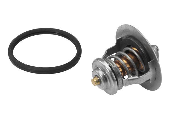 Termostatas, aušinimo skystis BorgWarner (Wahler) 410178.82D