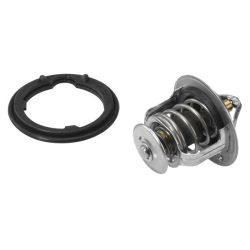 Termostatas, aušinimo skystis BorgWarner (Wahler) 410224.82D