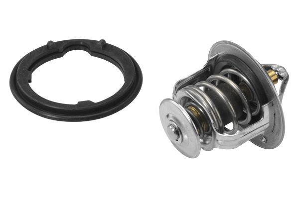 Termostatas, aušinimo skystis BorgWarner (Wahler) 410224.82D