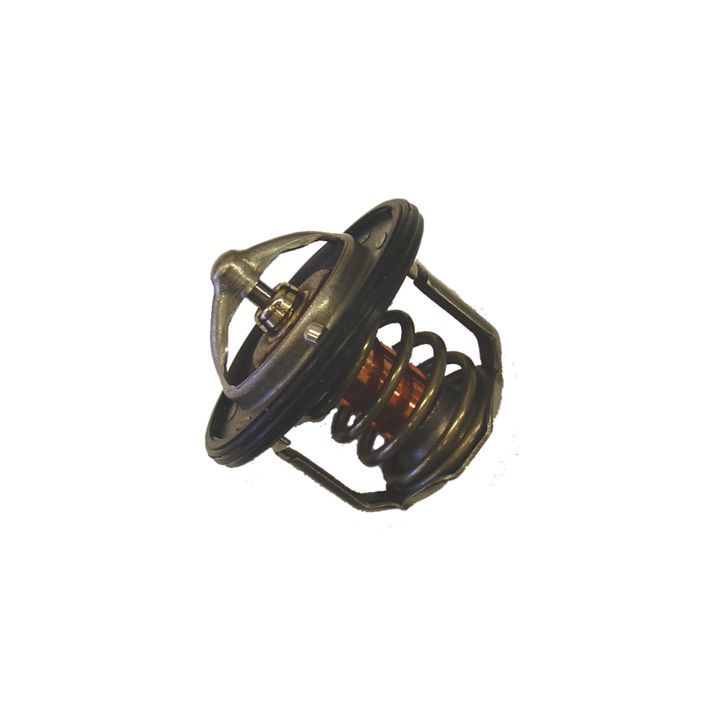 Termostatas, aušinimo skystis BorgWarner (Wahler) 410230.78D