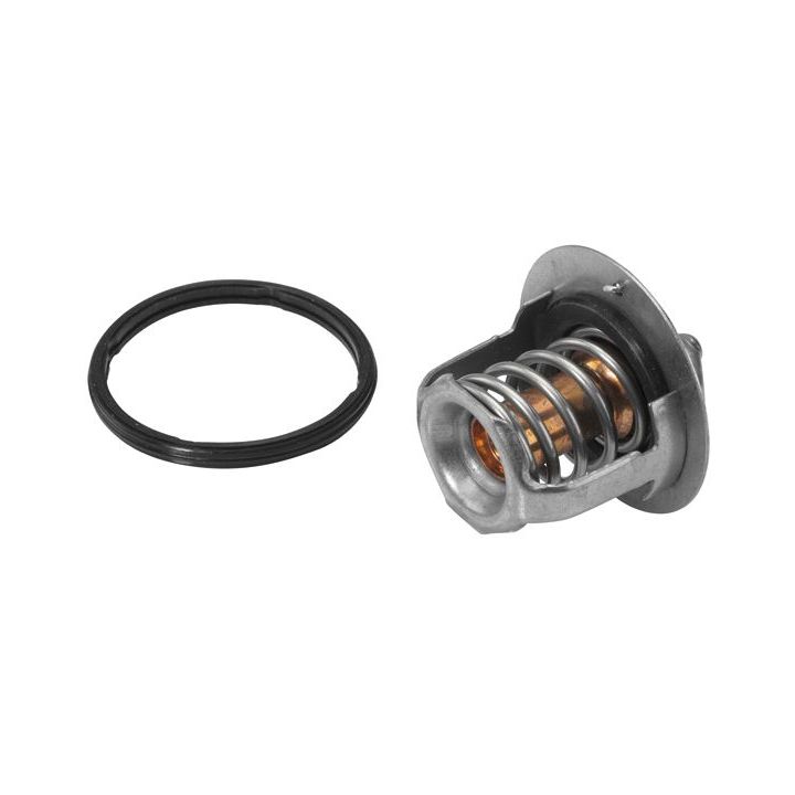 Termostatas, aušinimo skystis BorgWarner (Wahler) 410230.78D