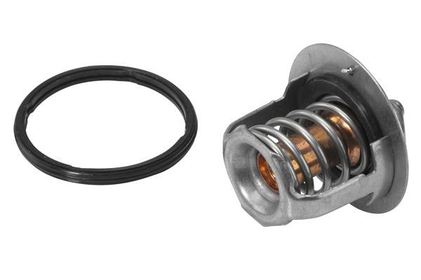 Termostatas, aušinimo skystis BorgWarner (Wahler) 410230.78D