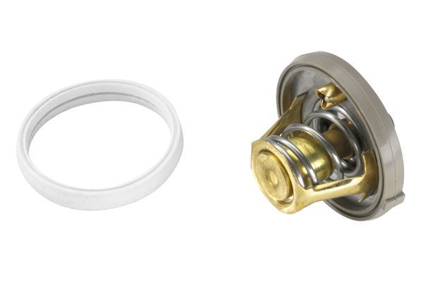 Termostatas, aušinimo skystis BorgWarner (Wahler) 410262.91D