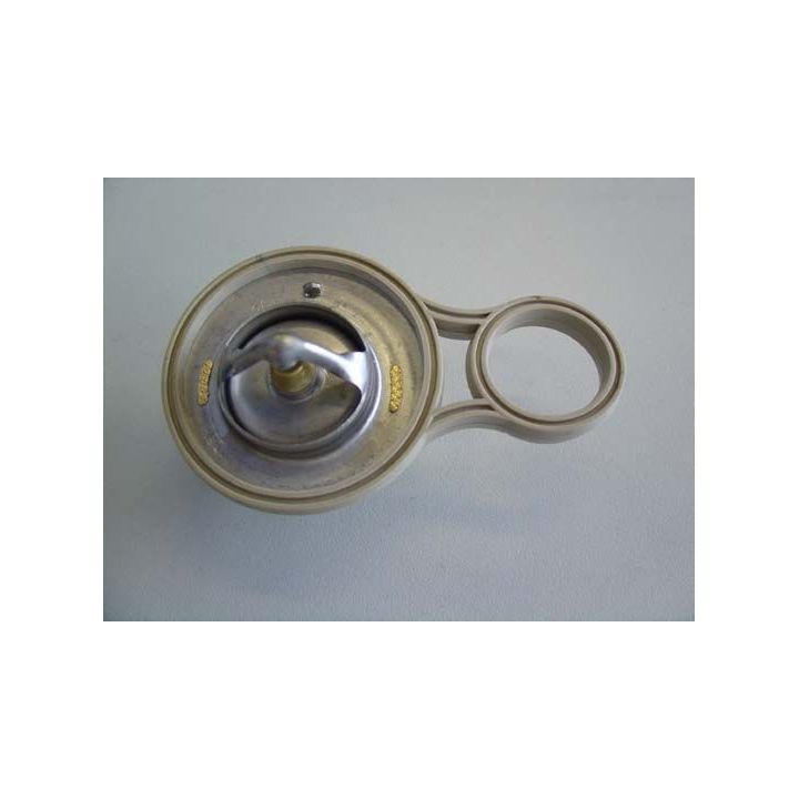 Termostatas, aušinimo skystis BorgWarner (Wahler) 410263.91D