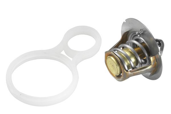 Termostatas, aušinimo skystis BorgWarner (Wahler) 410263.91D