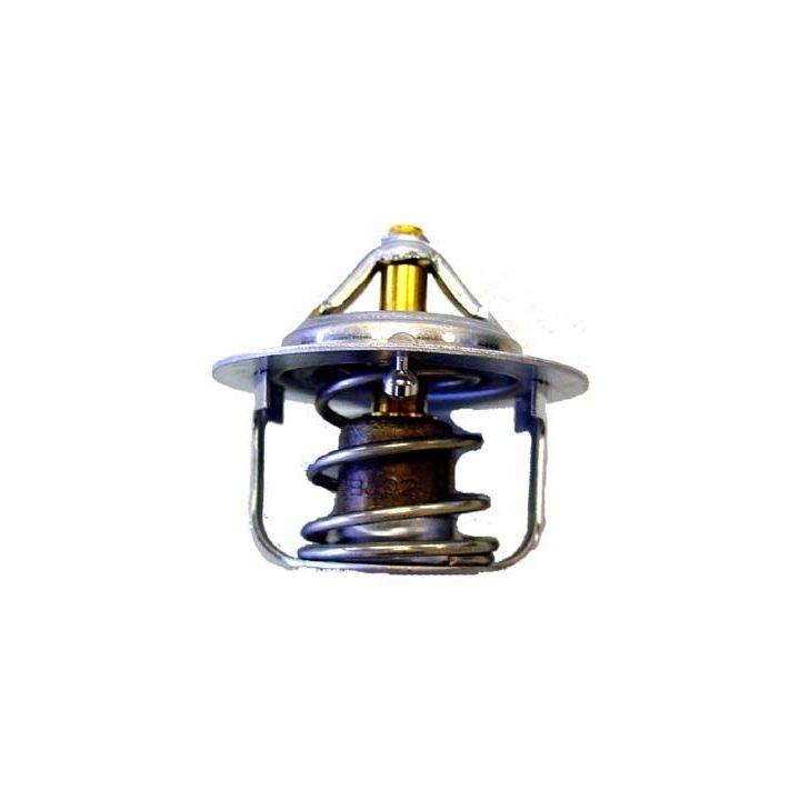 Termostatas, aušinimo skystis BorgWarner (Wahler) 410351.88D