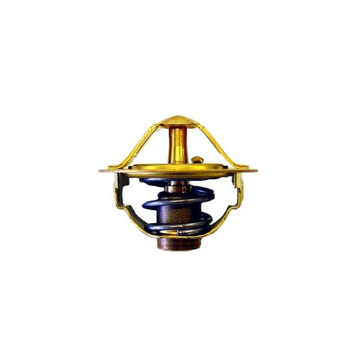 Termostatas, aušinimo skystis BorgWarner (Wahler) 410352.88D