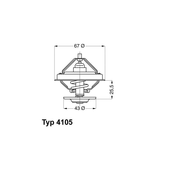Termostatas, aušinimo skystis BorgWarner (Wahler) 4105.83D