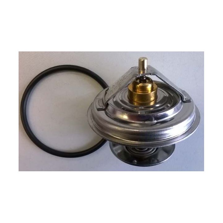 Termostatas, aušinimo skystis BorgWarner (Wahler) 4105.83D