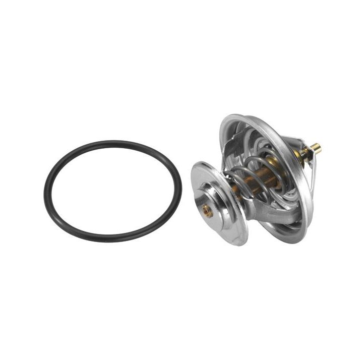 Termostatas, aušinimo skystis BorgWarner (Wahler) 4105.83D