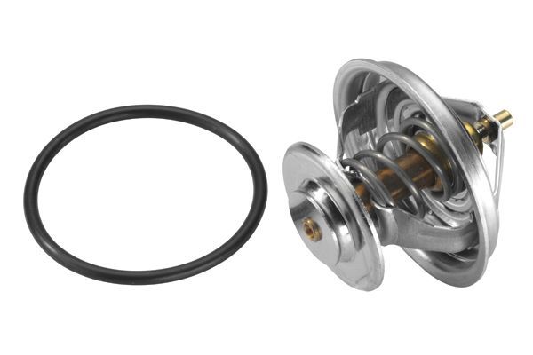 Termostatas, aušinimo skystis BorgWarner (Wahler) 4105.83D