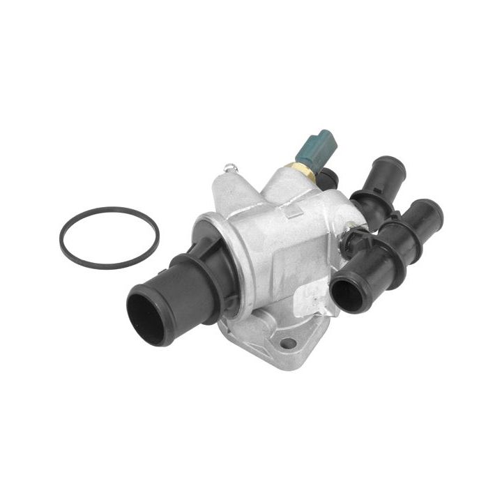 Termostatas, aušinimo skystis BorgWarner (Wahler) 410511.88D