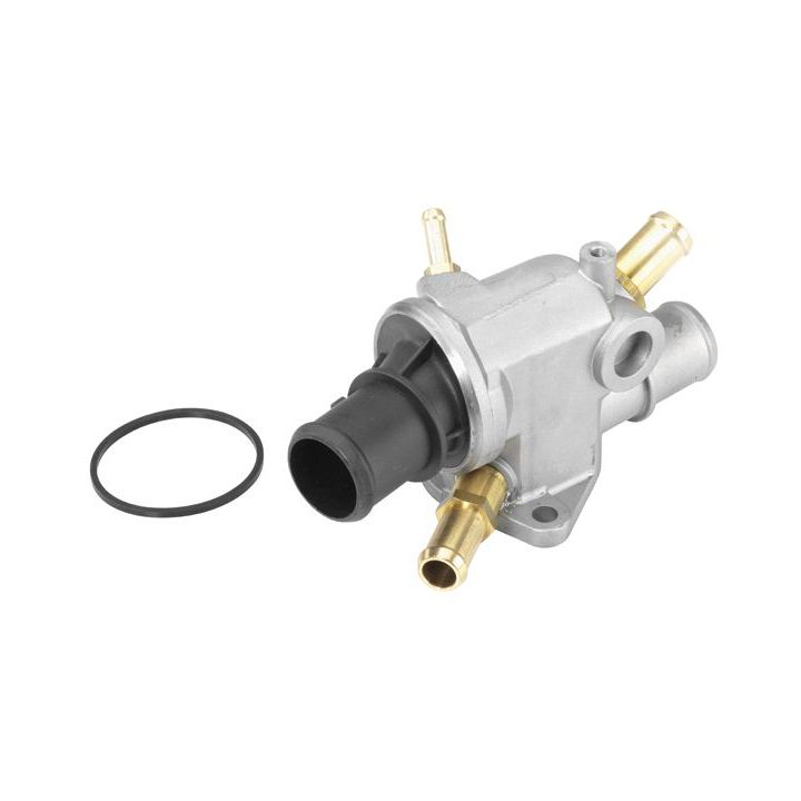 Termostatas, aušinimo skystis BorgWarner (Wahler) 410513.88D