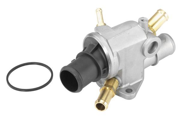 Termostatas, aušinimo skystis BorgWarner (Wahler) 410513.88D