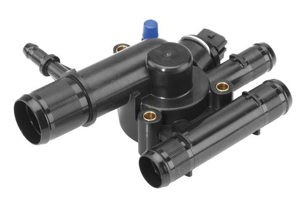 Termostatas, aušinimo skystis BorgWarner (Wahler) 410517.89D