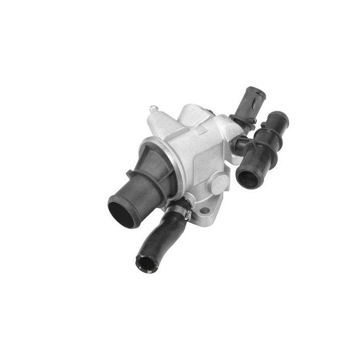 Termostatas, aušinimo skystis BorgWarner (Wahler) 410591.88D