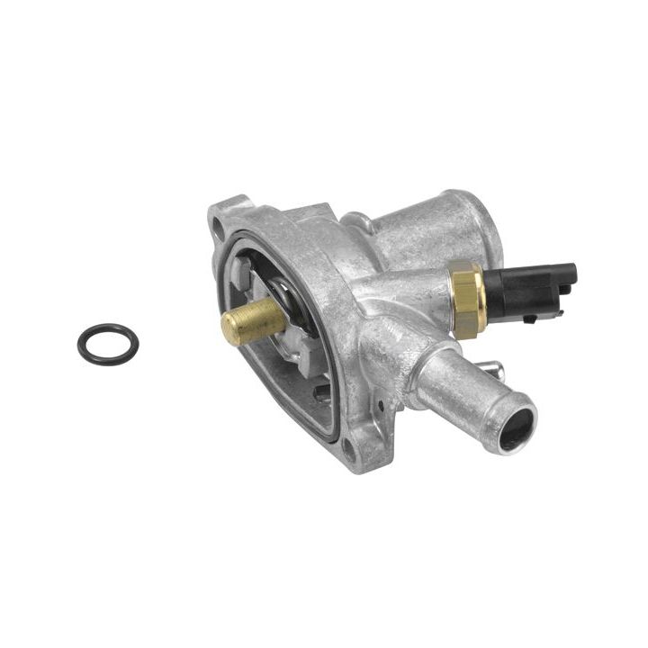 Termostatas, aušinimo skystis BorgWarner (Wahler) 410871.80D