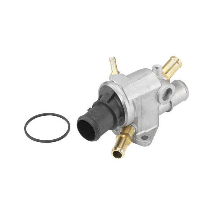 Termostatas, aušinimo skystis BorgWarner (Wahler) 410994.88D